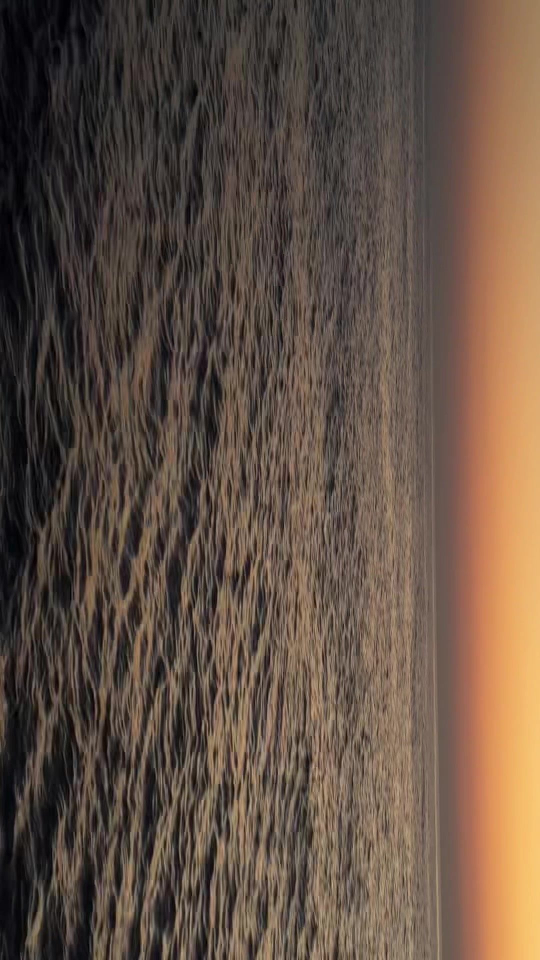 @21