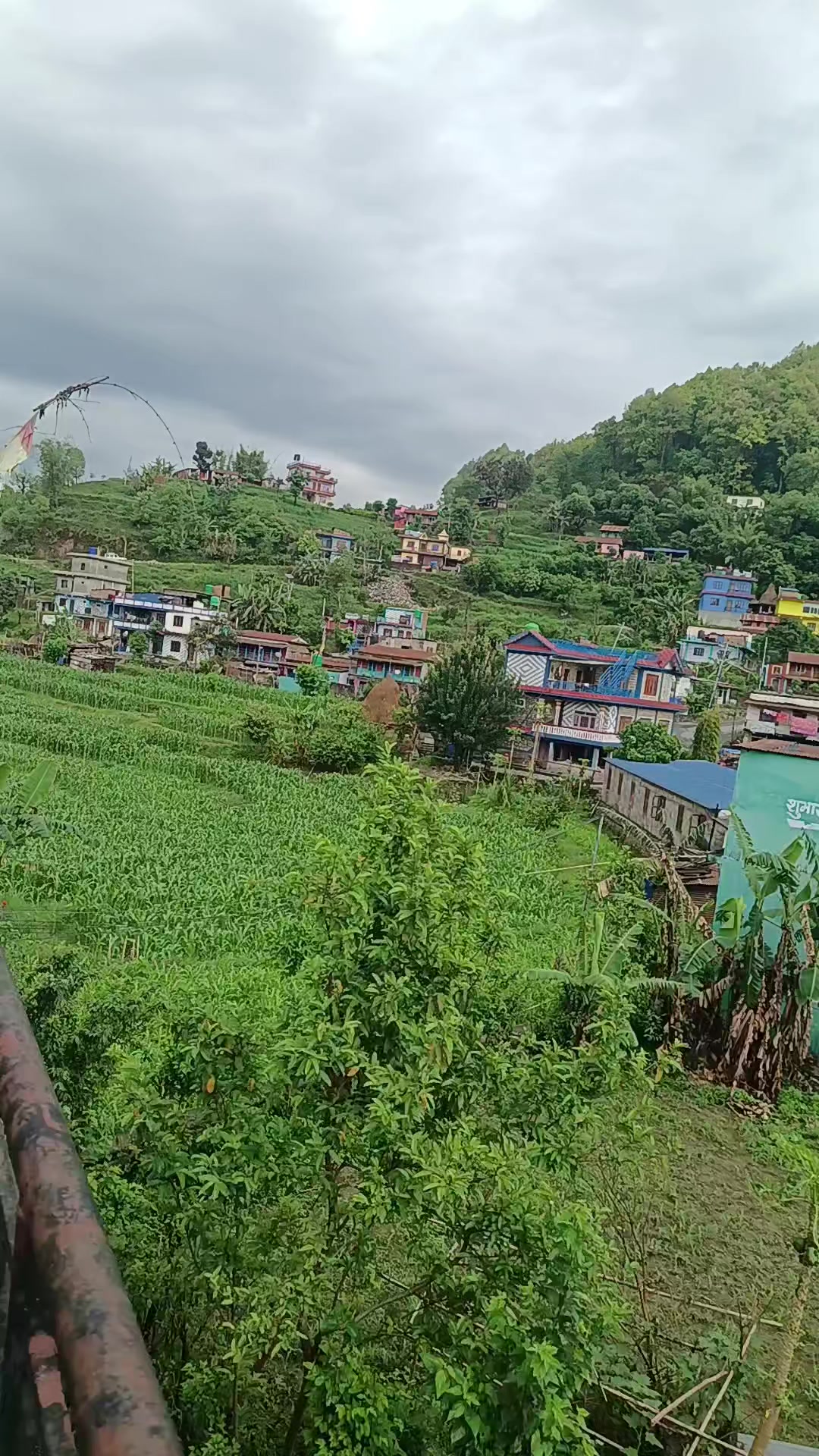 @Lalita Gurung
