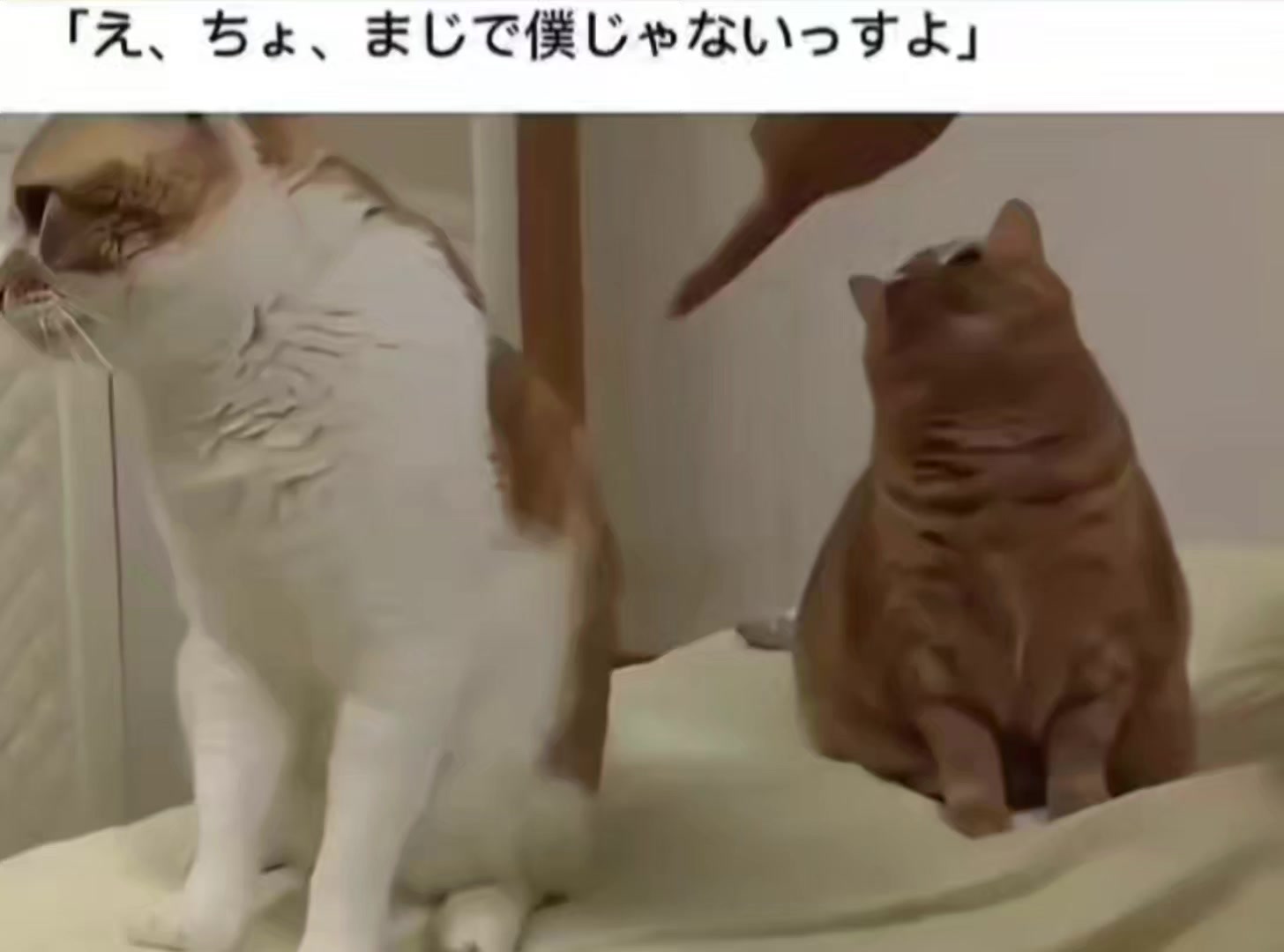 @Na ni