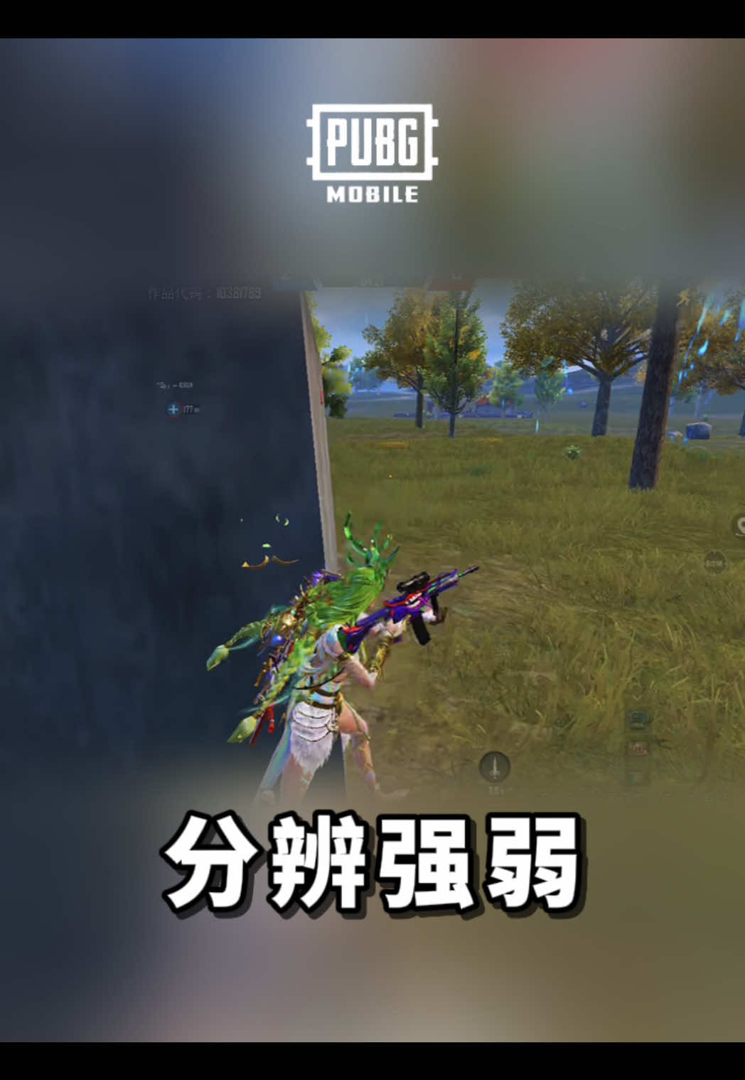 @Gudidi 辜弟弟