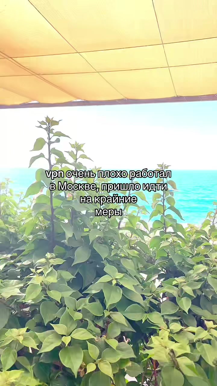 @браiн