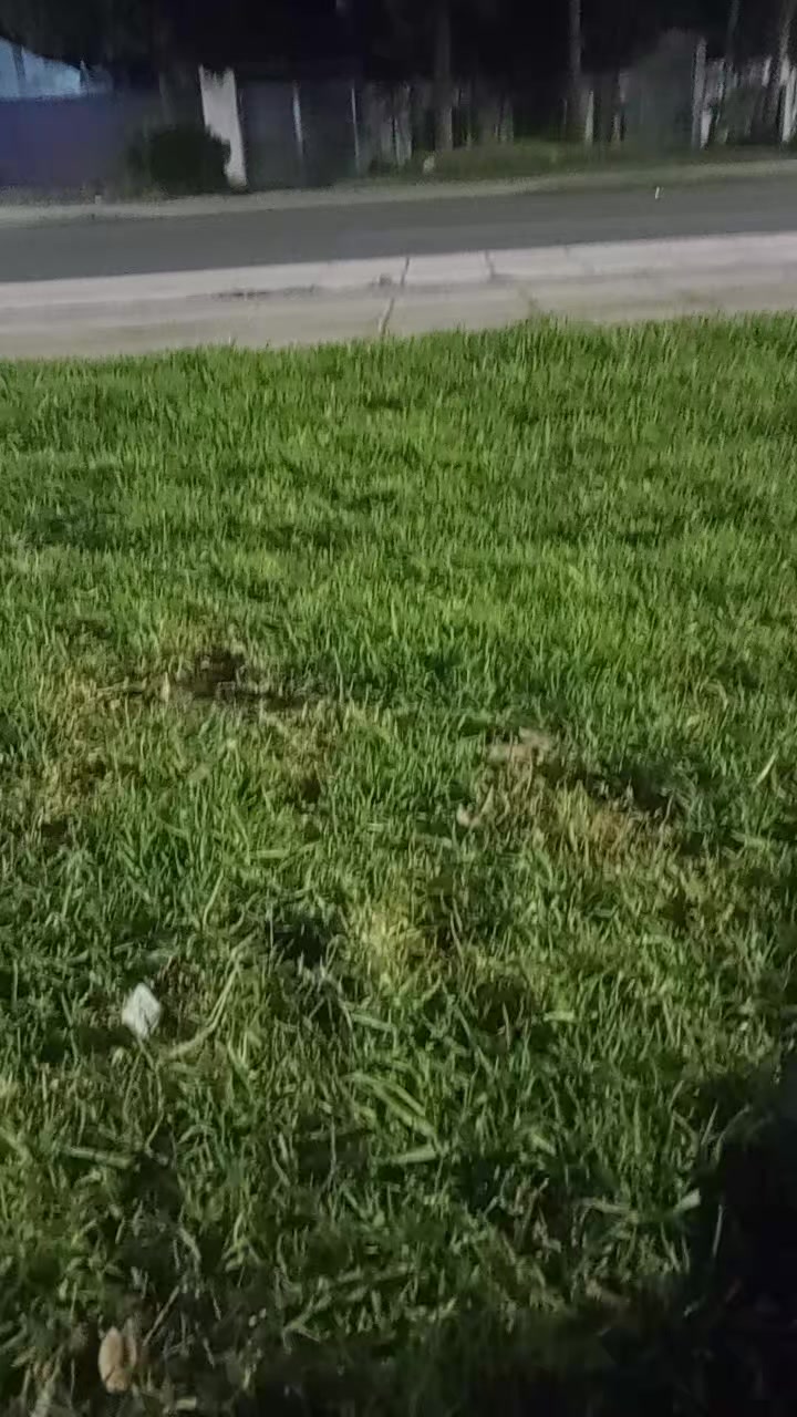 @ام. يحي