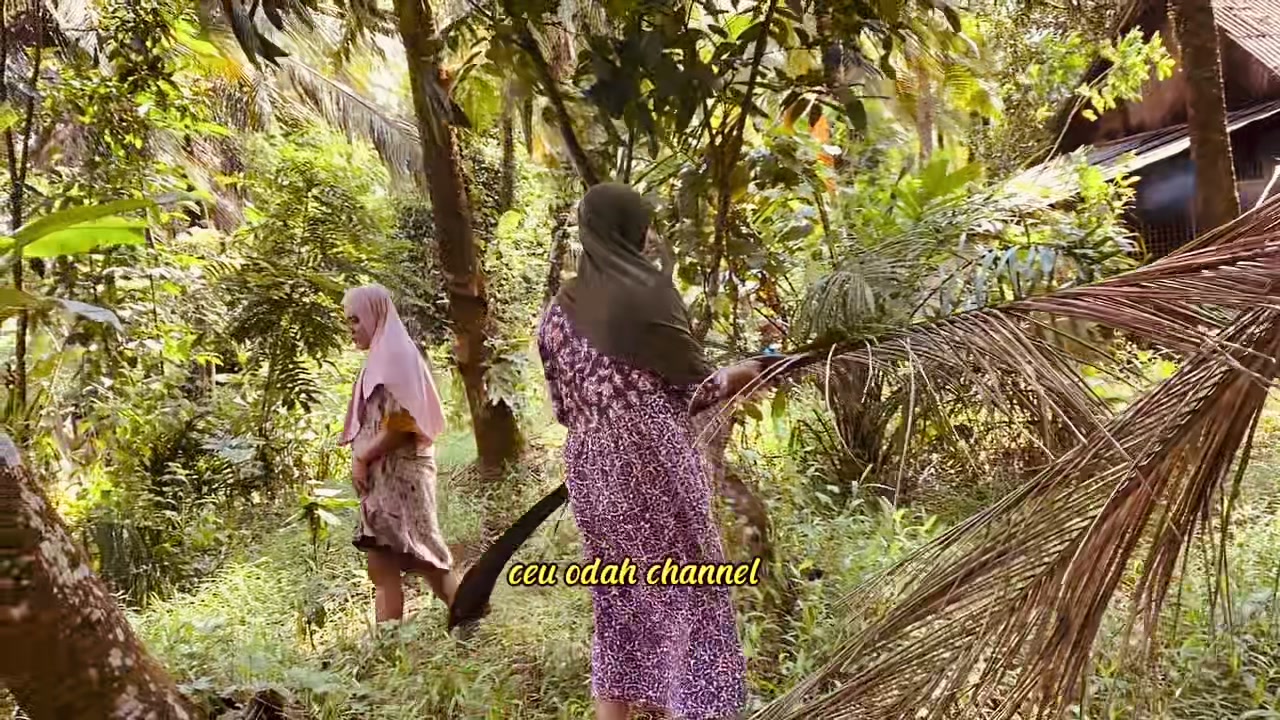 @ceuodah87