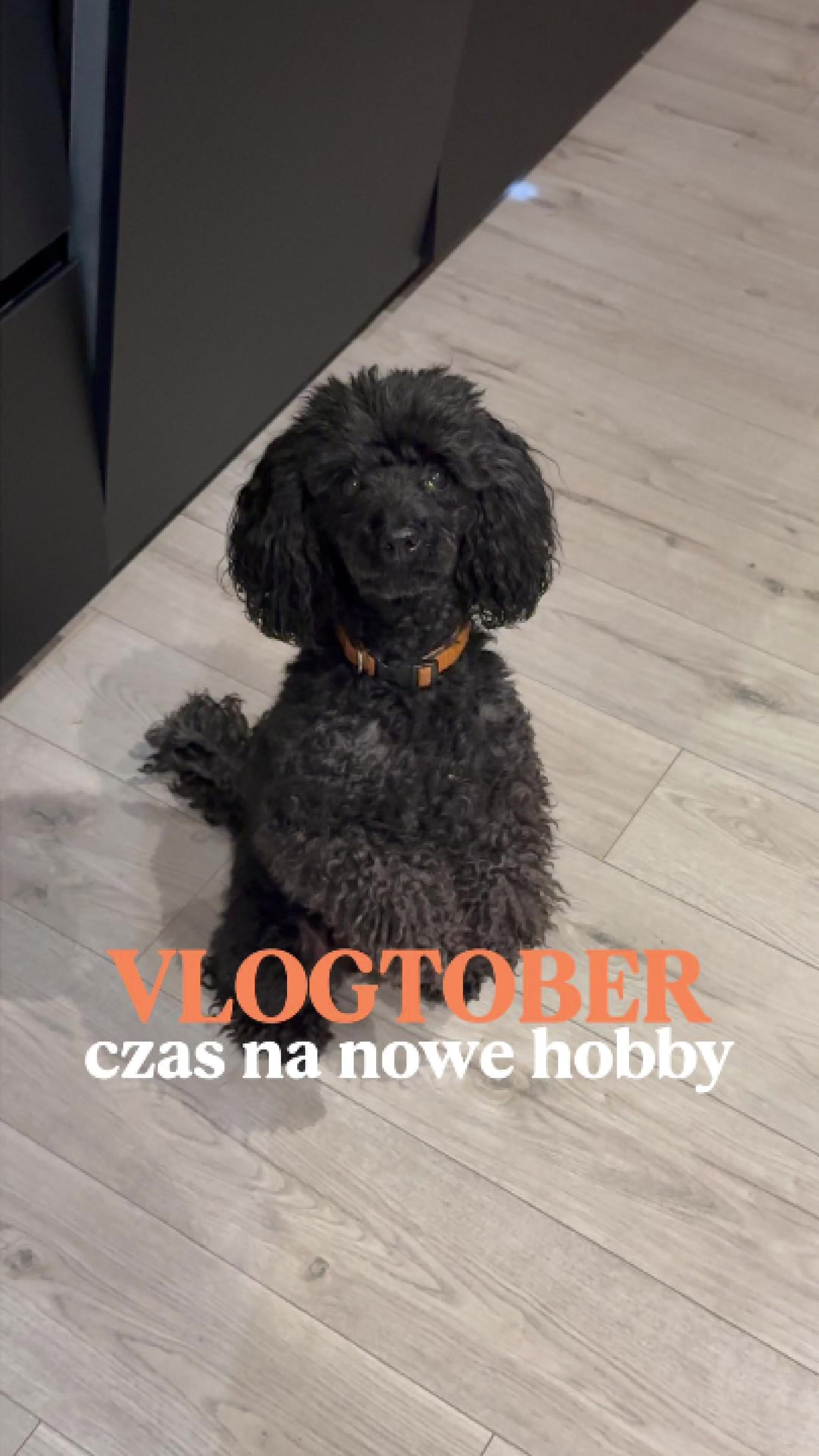 @crispynka organizuje 🏠💰🛒