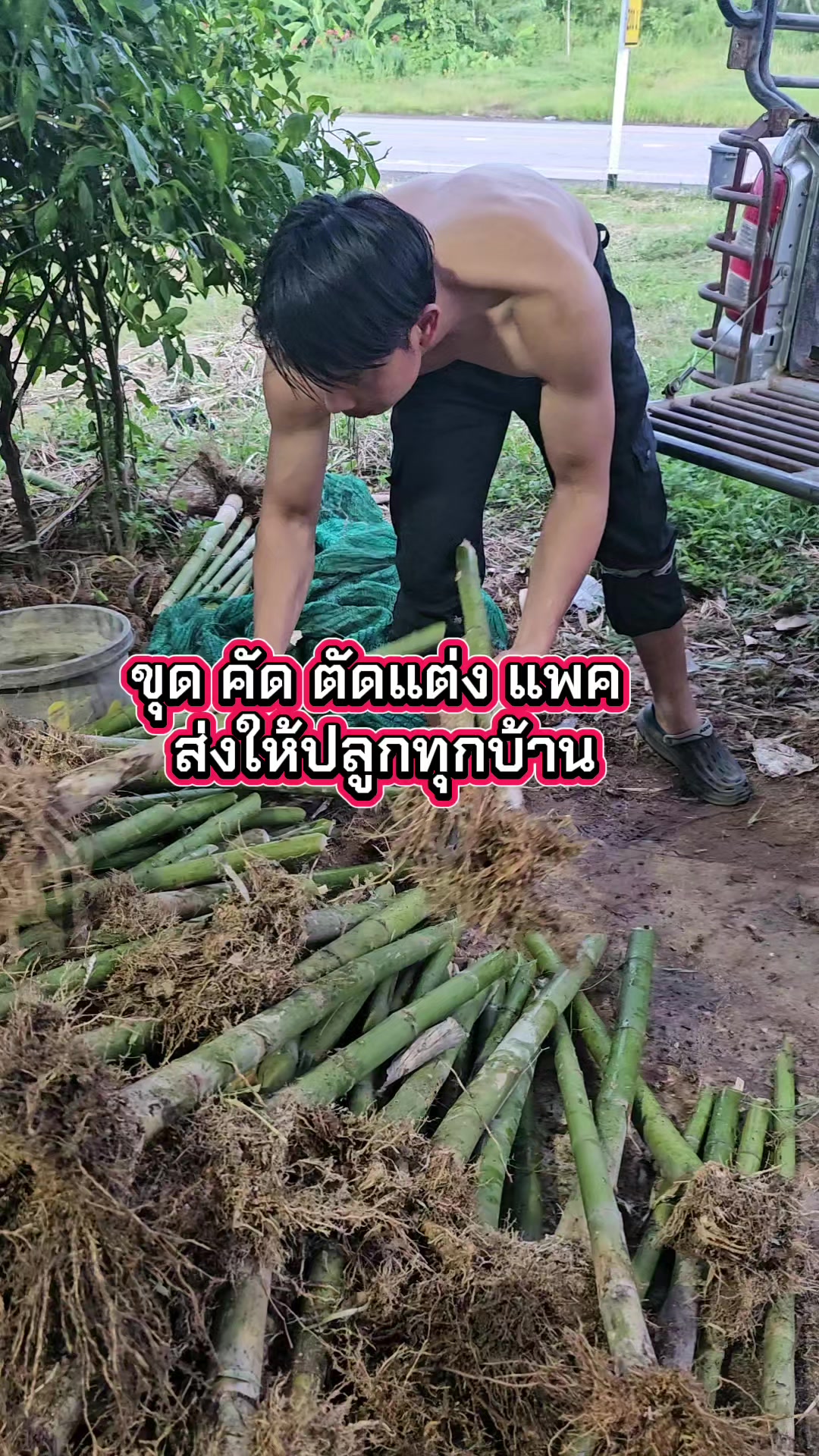 @นัดดาชอป
