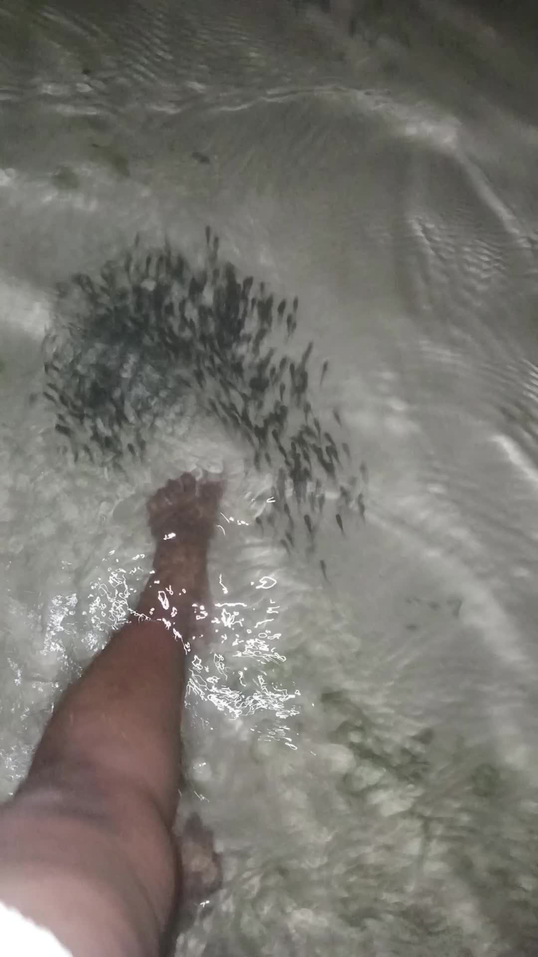 @Keshni Gokul