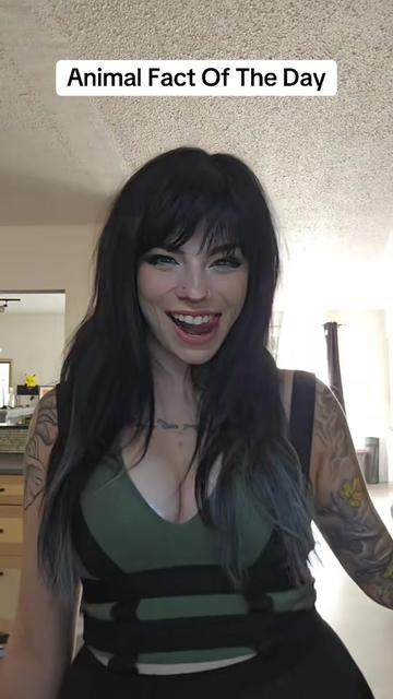 @Ⓕⓔⓝⓝⓔⓒ
