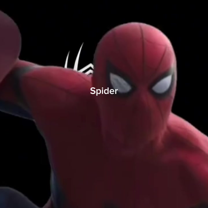 @Spider