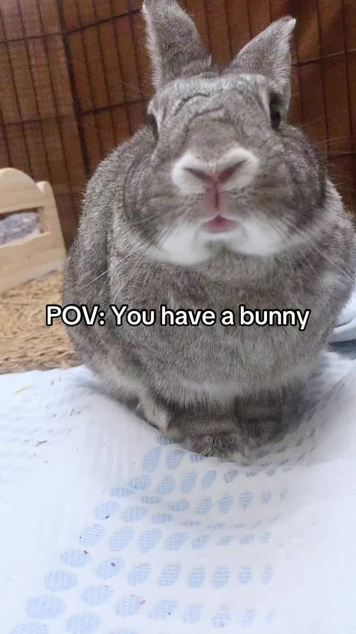 @interestinglilcreature