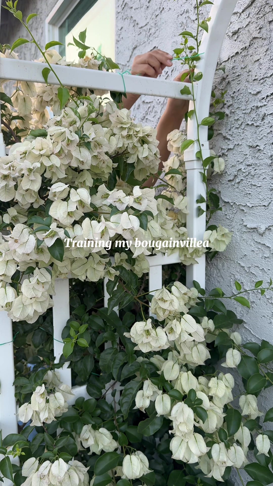 @heartandgarden
