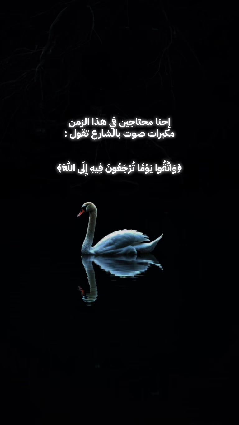 @🦢