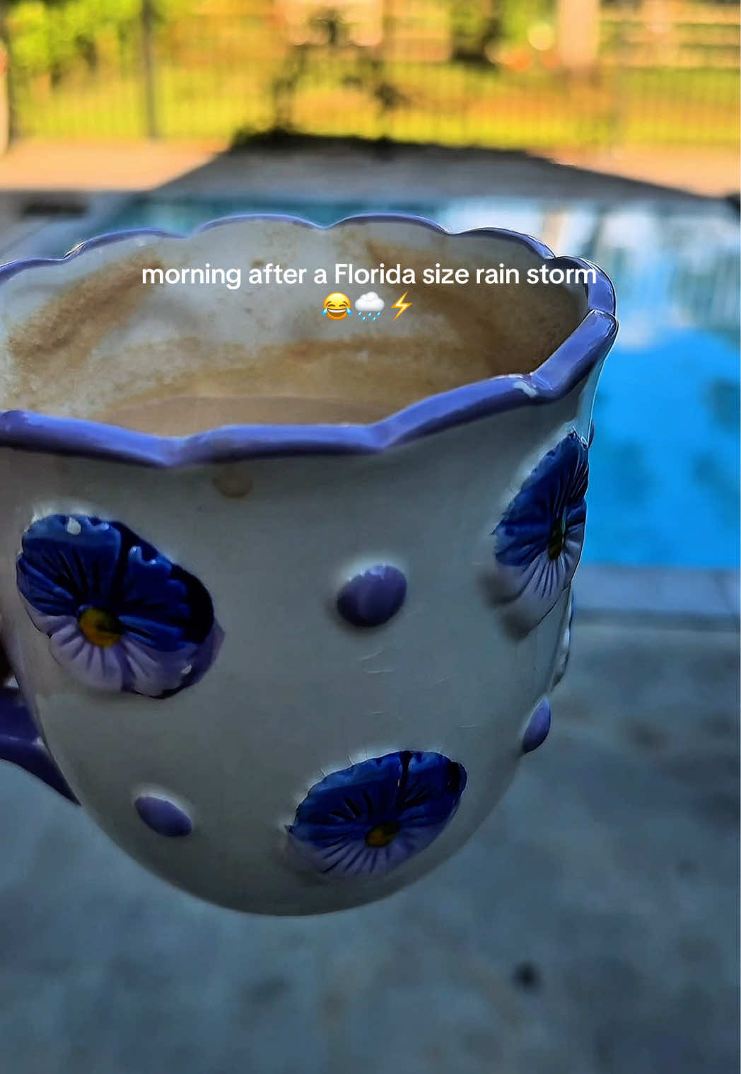 @ℂ𝕙𝕚𝕔𝕜𝕖𝕟𝔹𝕠𝕩𝔽𝕠𝕩💫