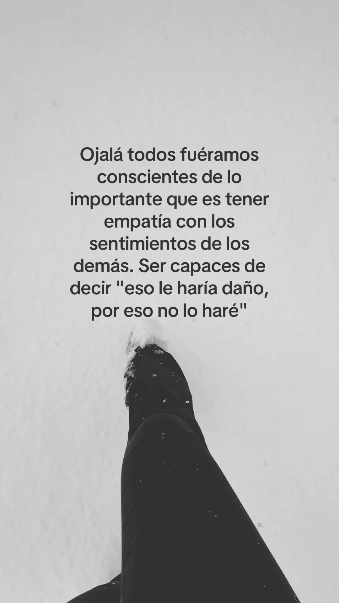 @ayle.kiis