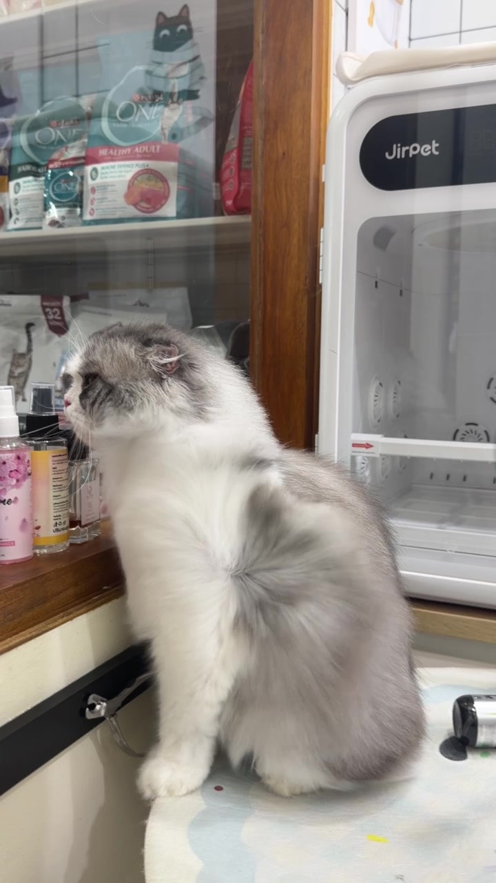 @mybossgrooming