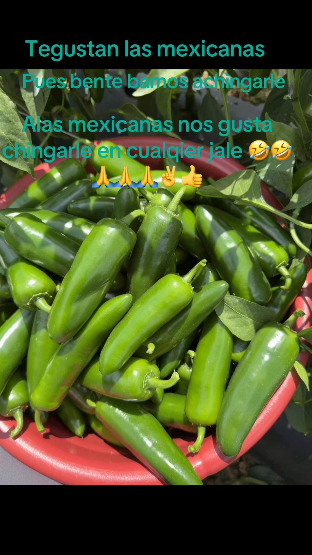 @🇲🇽🇲🇽maxi 🇺🇸🇲🇽