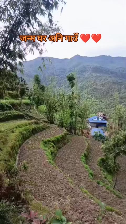 @ekaraj budhathoki