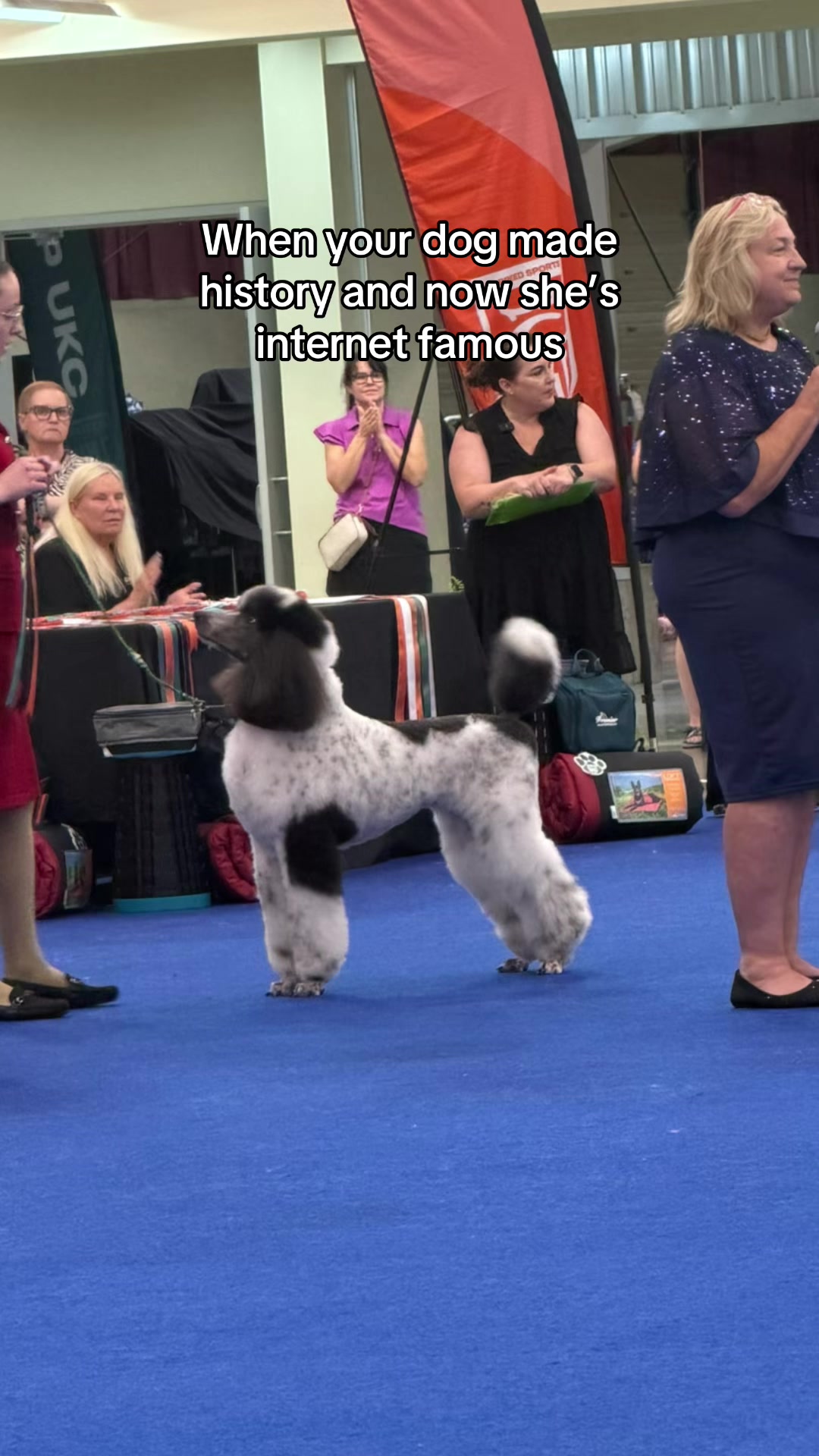 @Emmabelle + Poods 🐩🤍