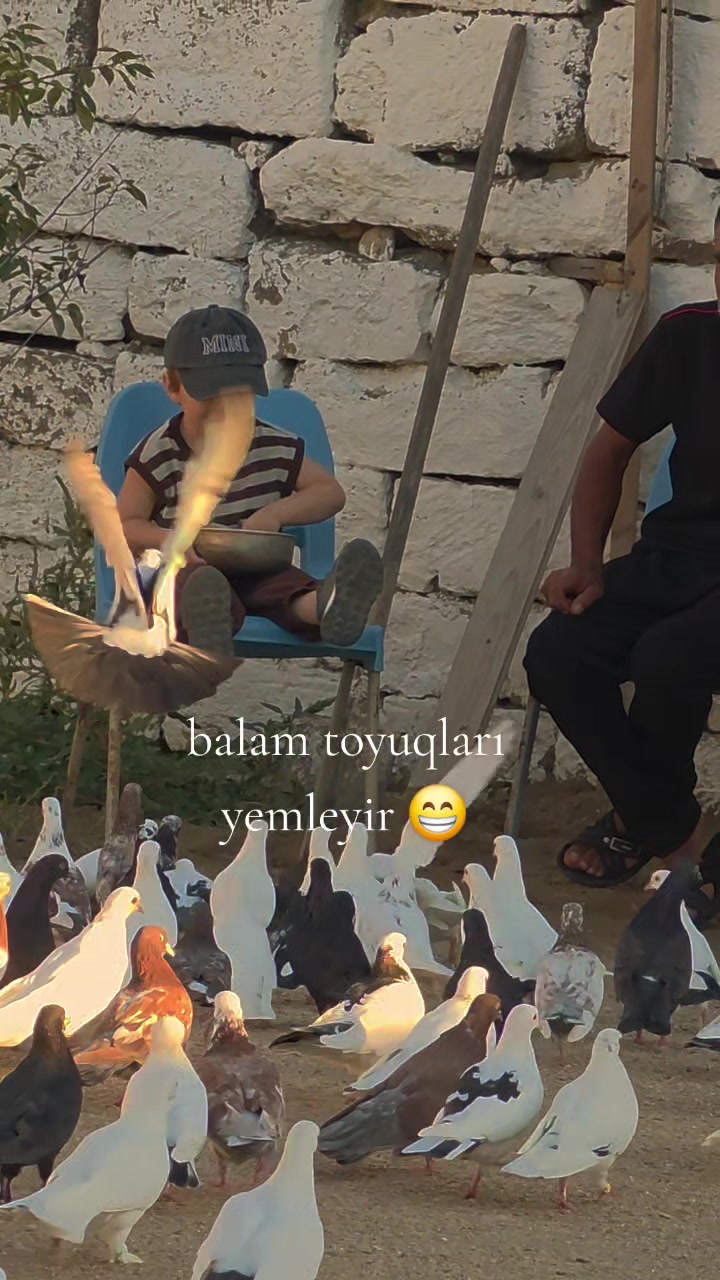 @Jalil