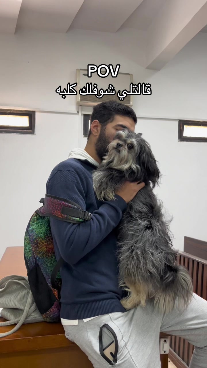 @ziad.eyada