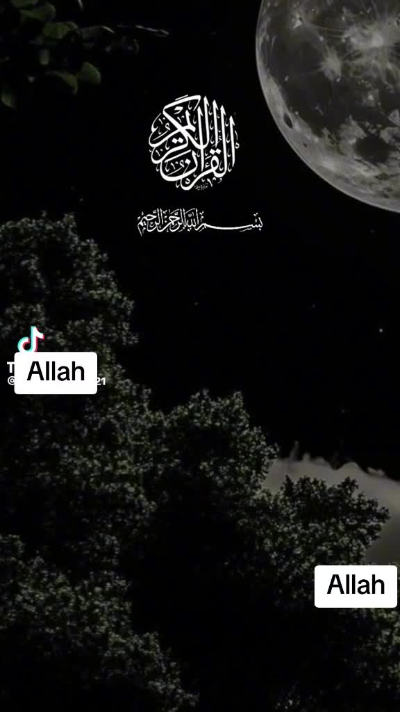 @❄️🪐🌌Syeda Mujahid🌟