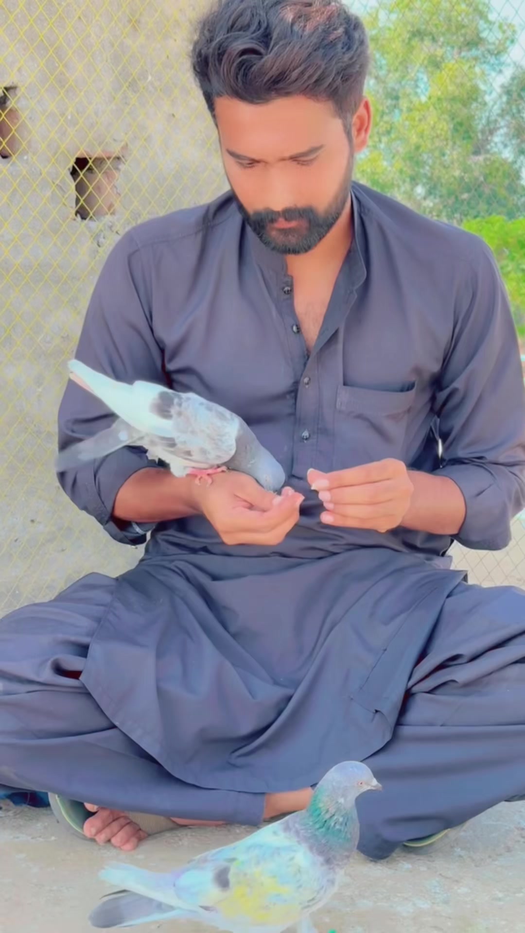 @👑چوہدری محسن چیمہ🦅