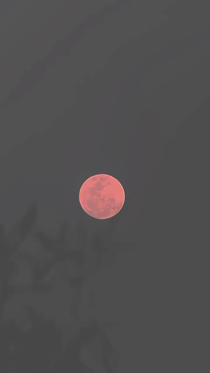 @𝑨 𝑳 𝑳 𝒁 𝑯 𝒀 𝑬
