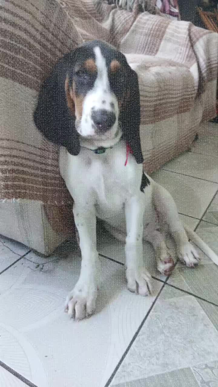 @DANZA LA ESPERANZA