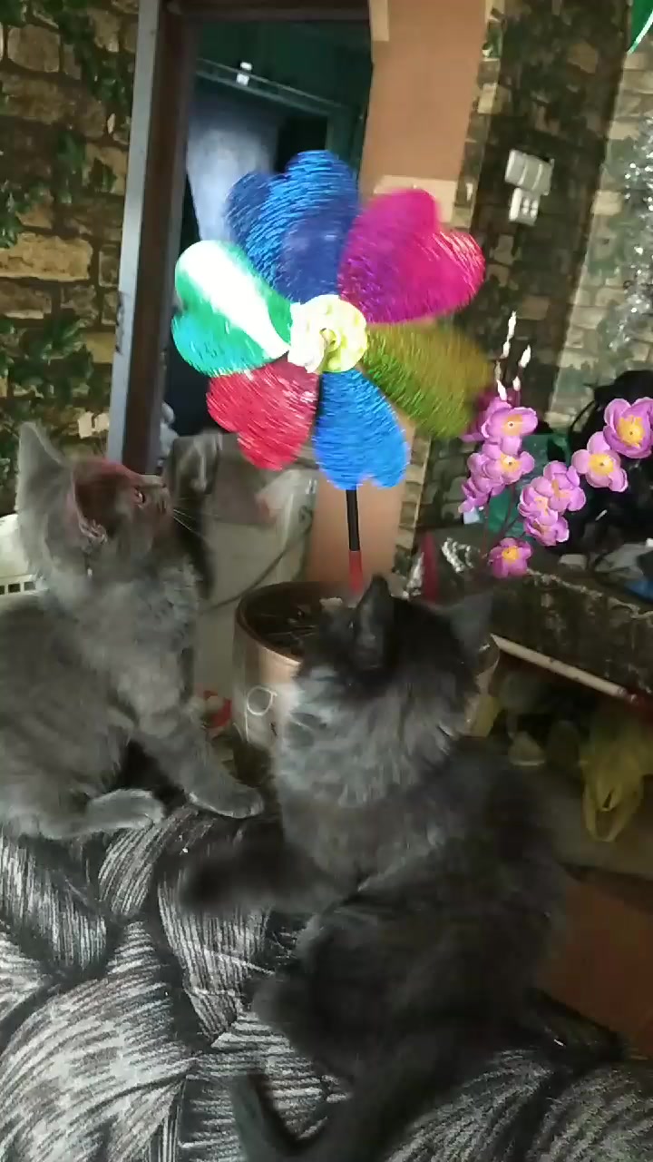@Юрик
