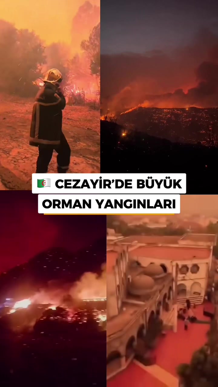 @yaratıcı_toplum_official