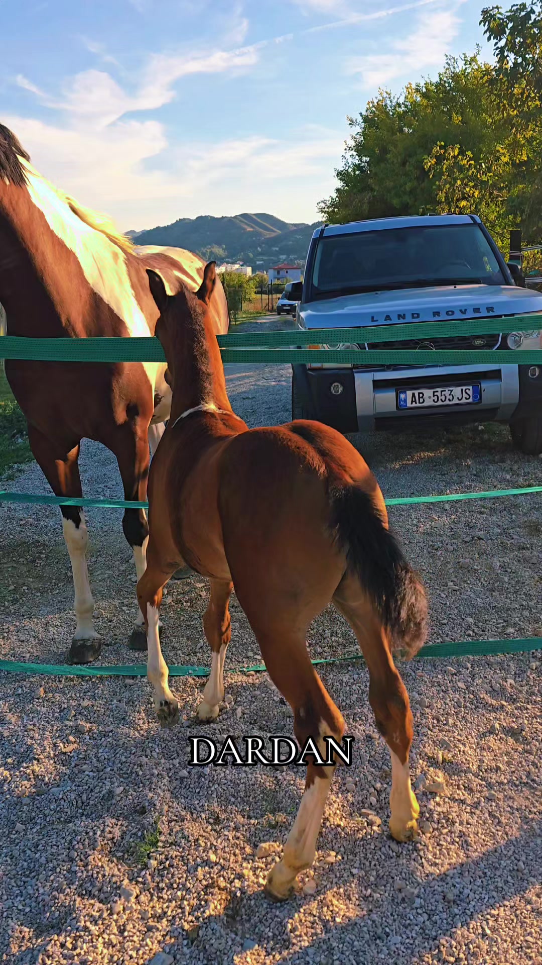 @Horse Training Center Albania