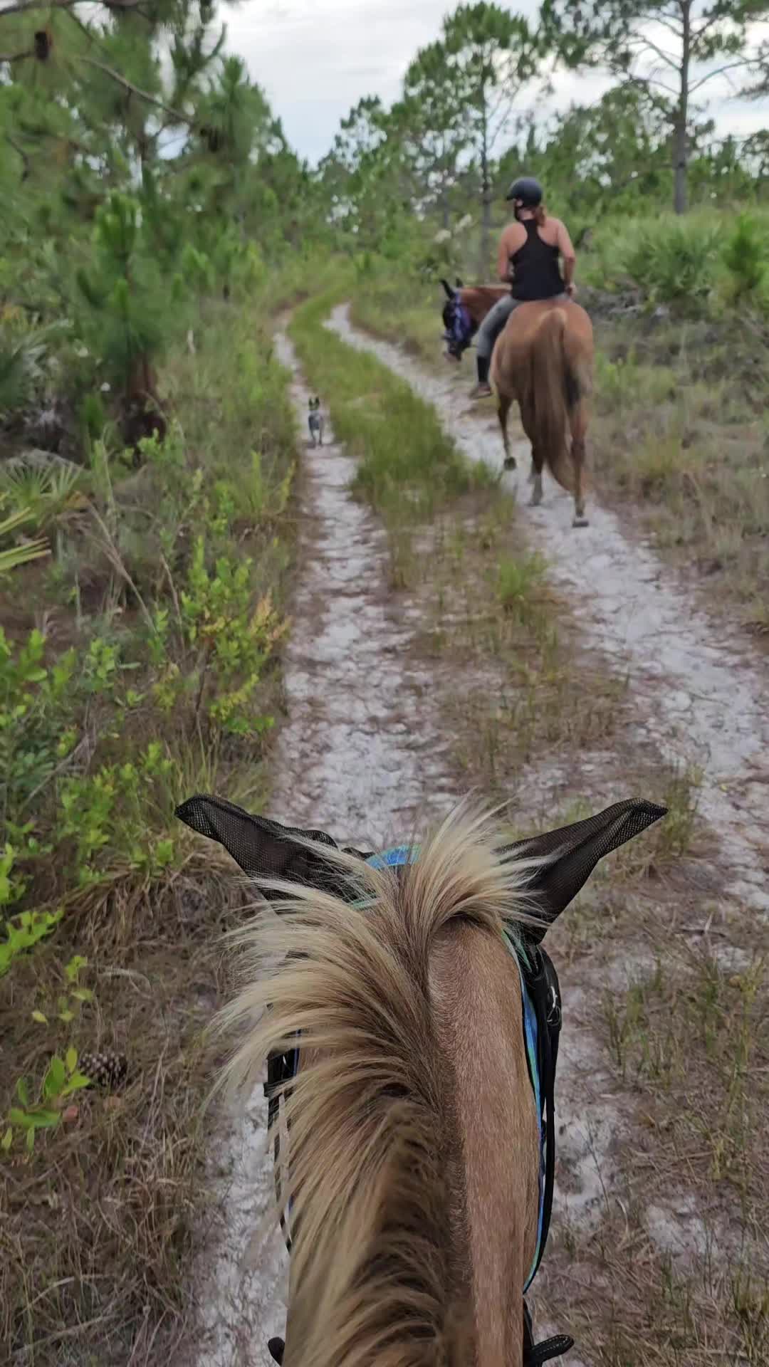 @Rachelrides