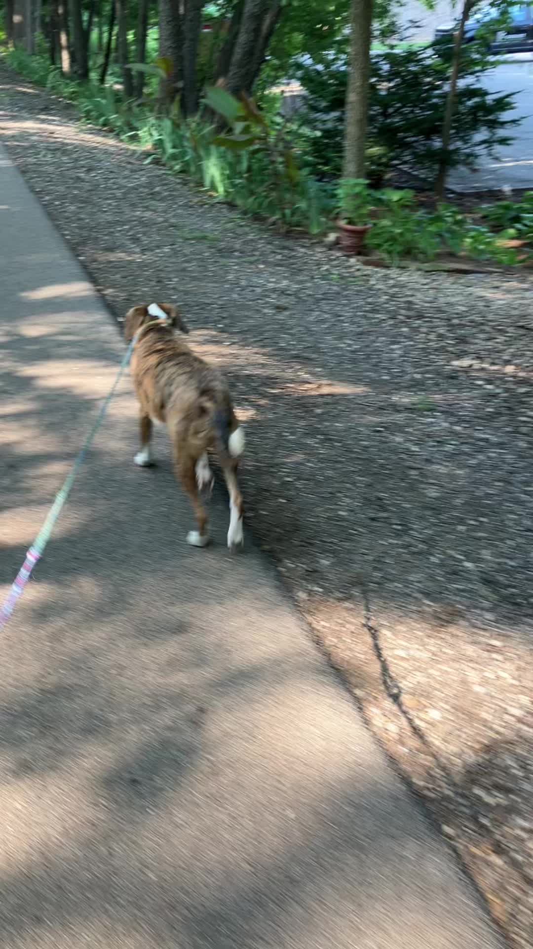 @Hikingwithstanley