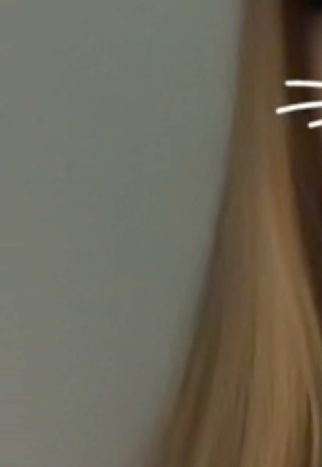 @strypets1