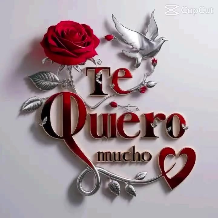 @Noelia