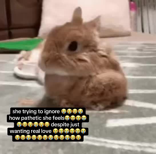 @𝒟ℴ𝓅ℯ ℬℴ𝒾 🪽