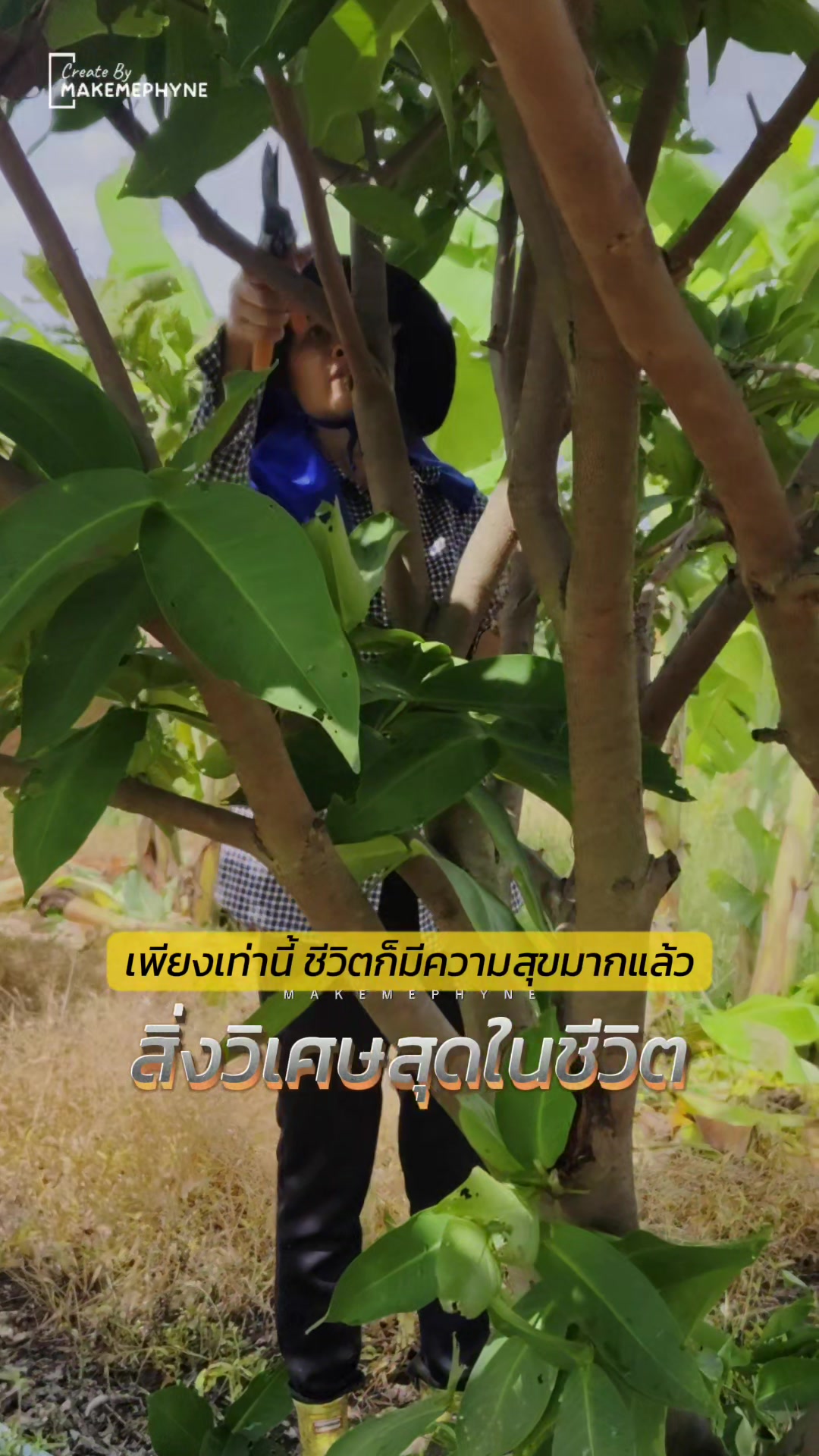 @อ.เต้ย บึงสามพัน