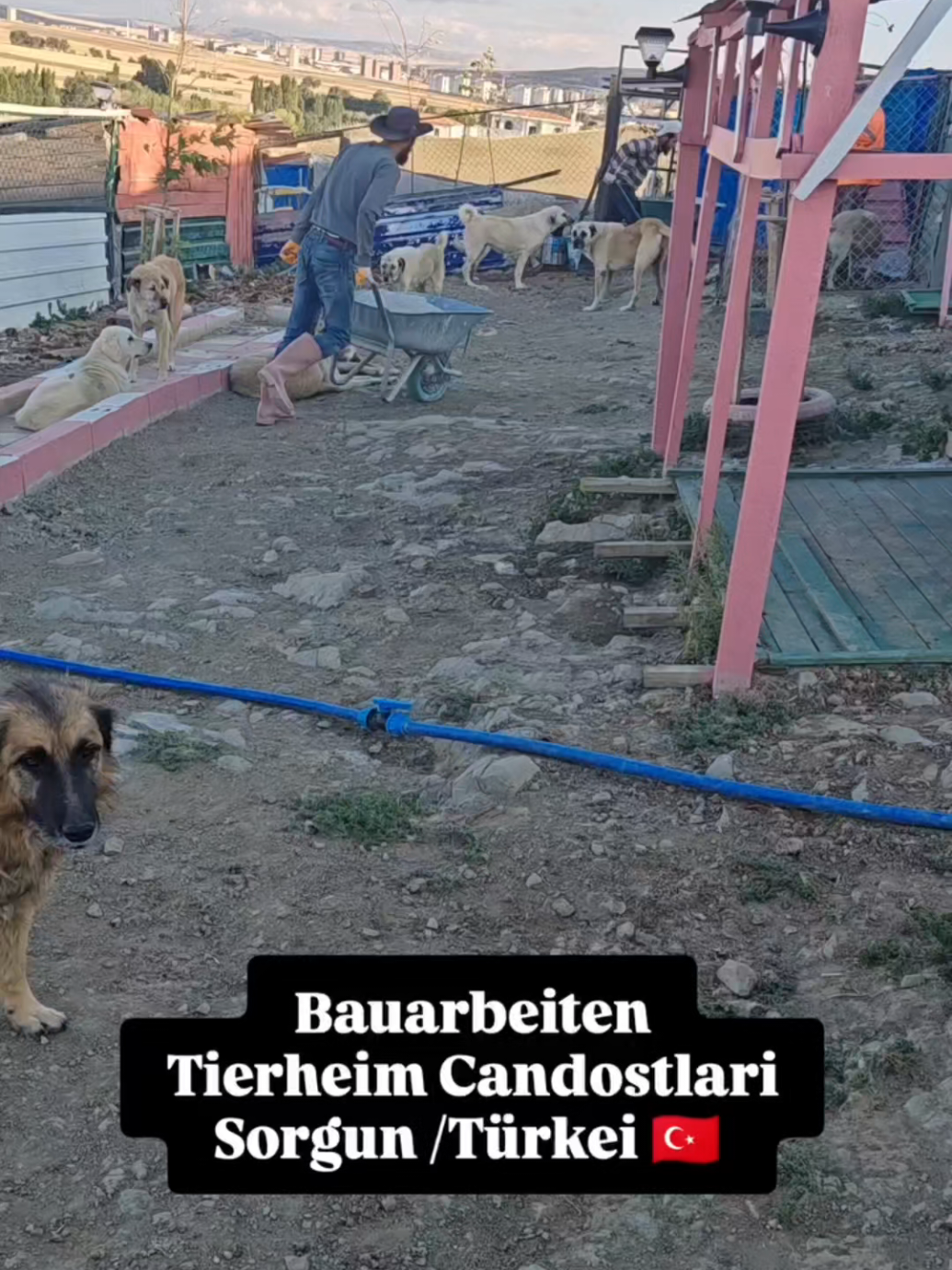 @TSV Candostlari-Beste Freunde