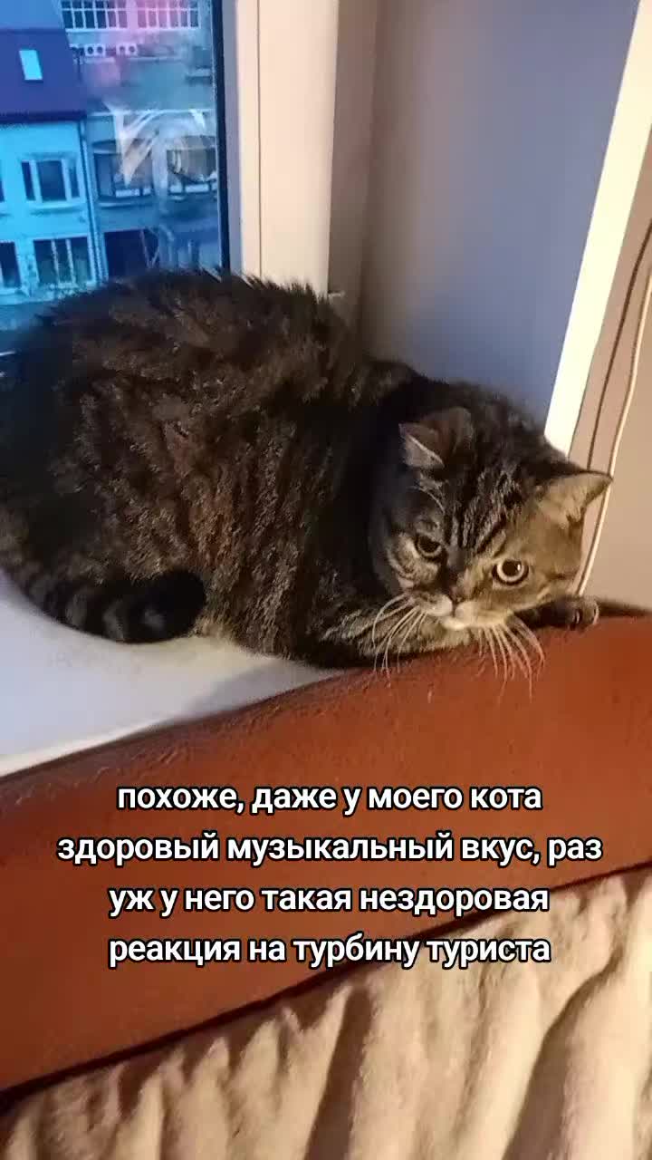 @на аве моя девушка мечты
