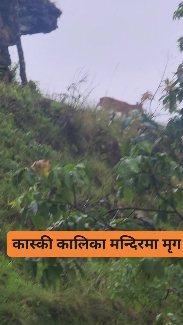 @Dr. Deepak Subedi | Yogi