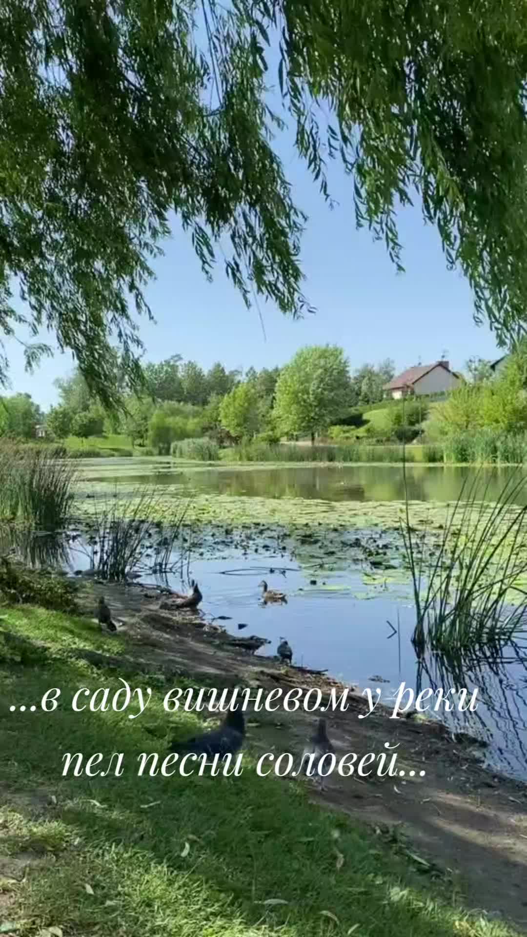 @Masha Orlowskaya