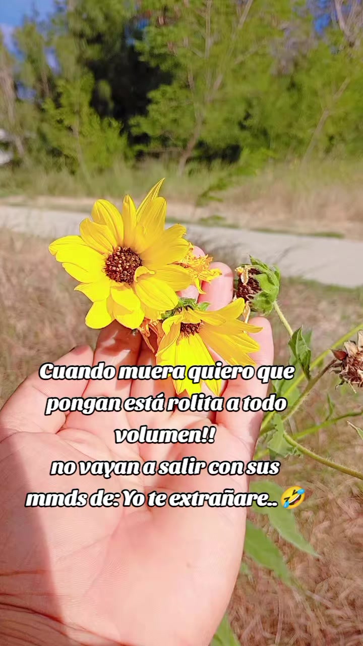 @YULIANA ARIZPE