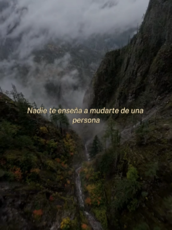 @Sanando a tu ex