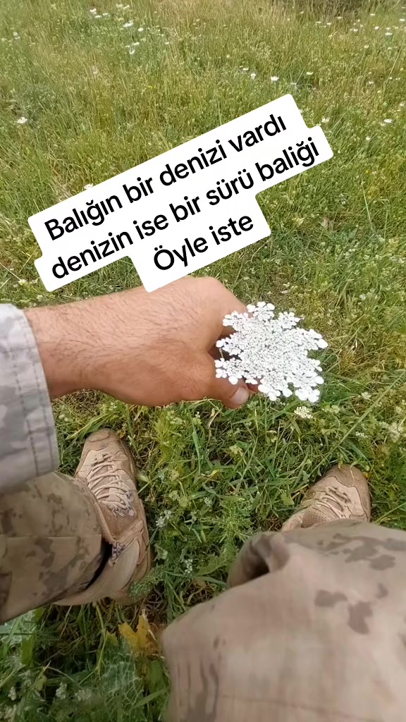 @𝐌𝐘 𝐋𝐈𝐅𝐄 𝐌𝐘 𝐑𝐔𝐋𝐄𝐒
