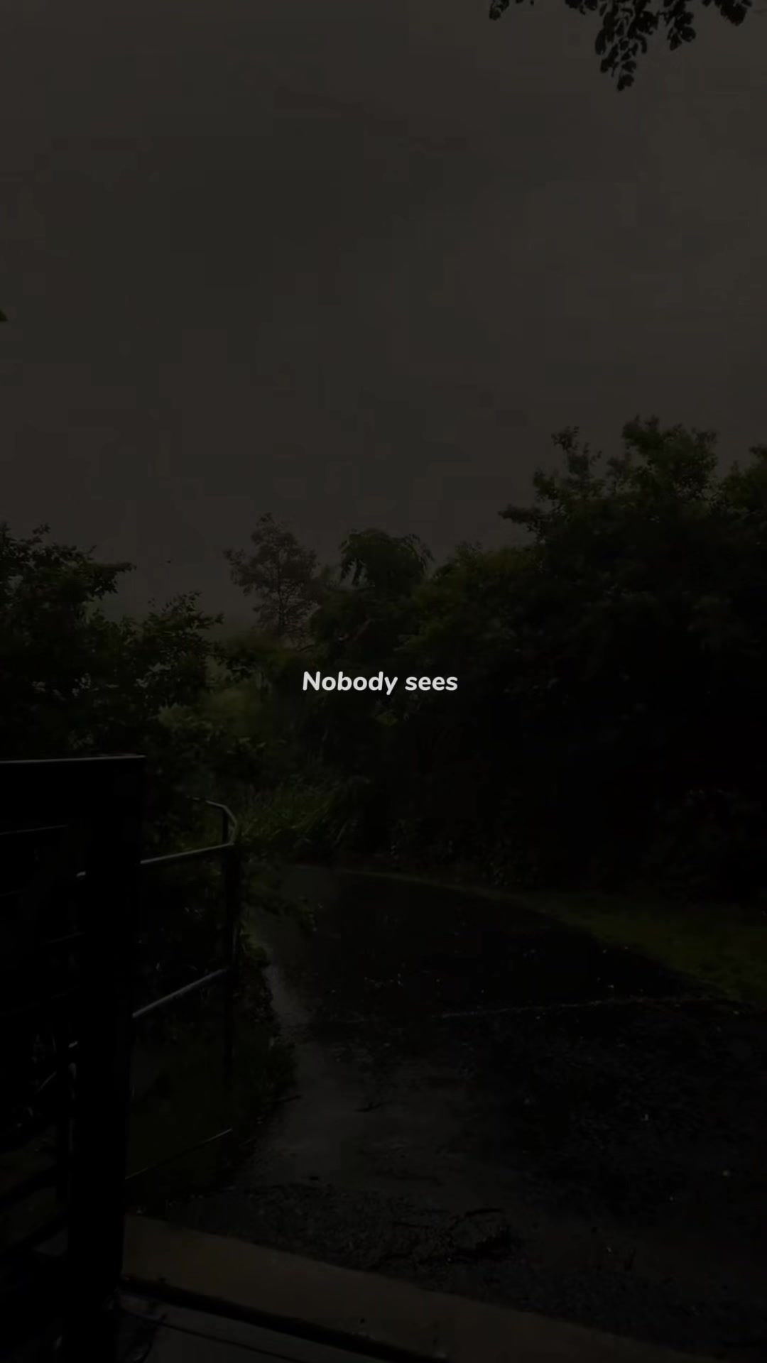@𝐌𝐒 𝐓𝐄𝐑𝐑𝐈𝐅𝐄𝐑
