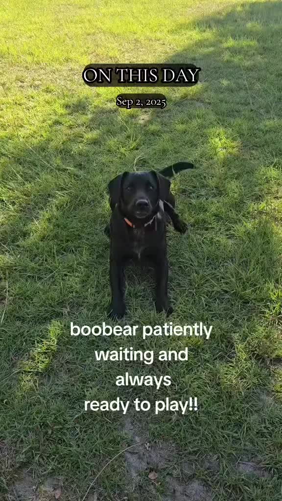@TMAC❌️ tammymcconnell76