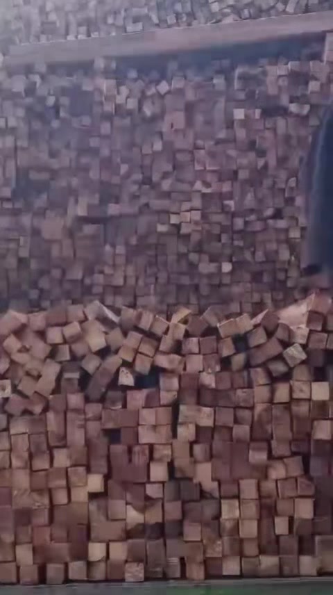 @ambarsariya
