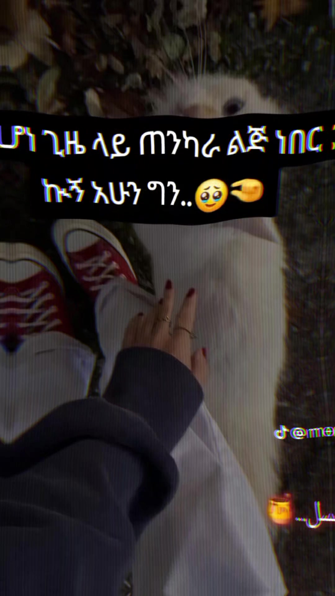 @แแ :๐โ๐ฆ๐ซ
