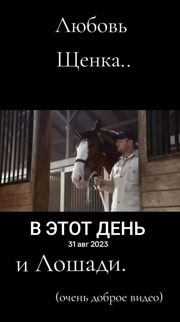 @Марина🤍🕊