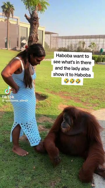 @HUMBLE LION 🦁