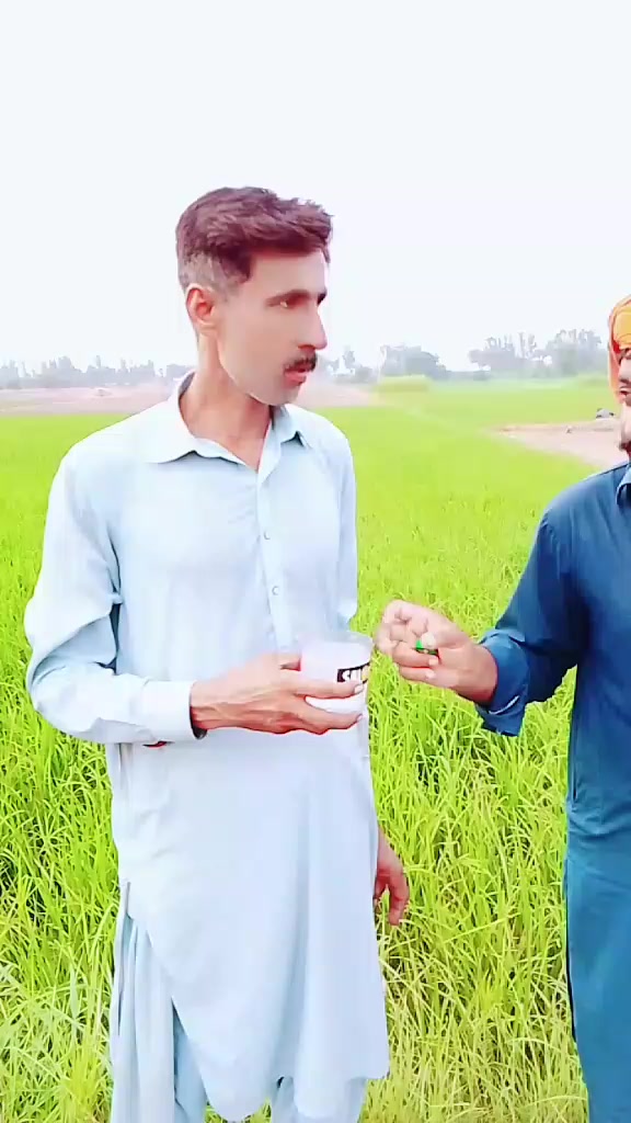 @jani oy